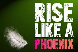 Rise Like the Phoenix, After a Career Break …