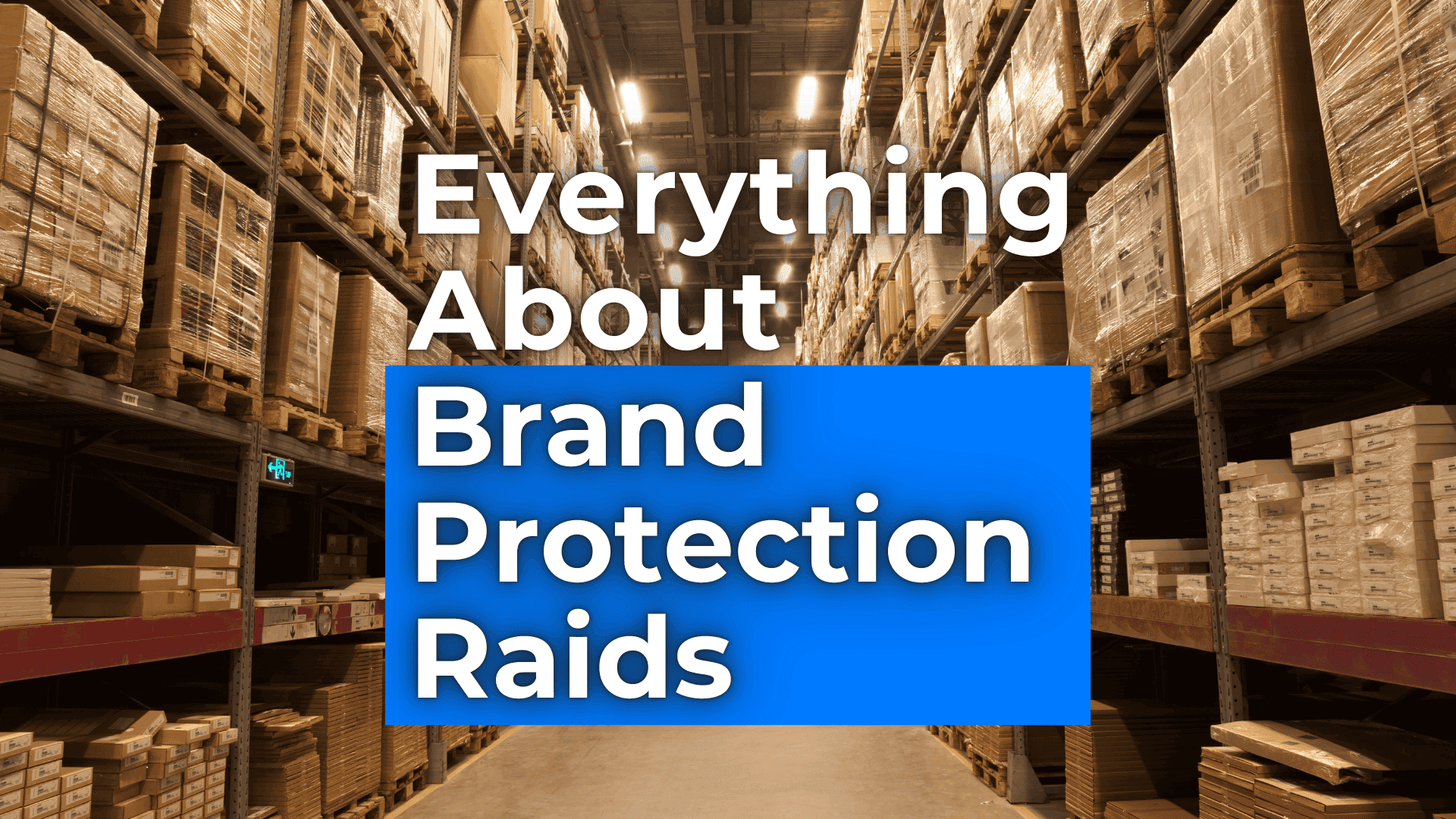 Everything About Brand Protection Raids: A Comprehensive Guide