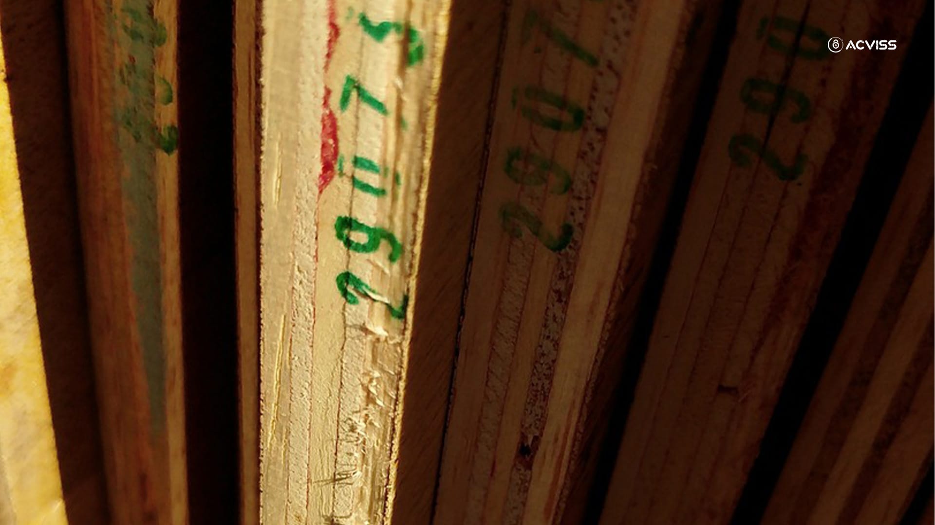 Case Study How Acviss Helped Kitply