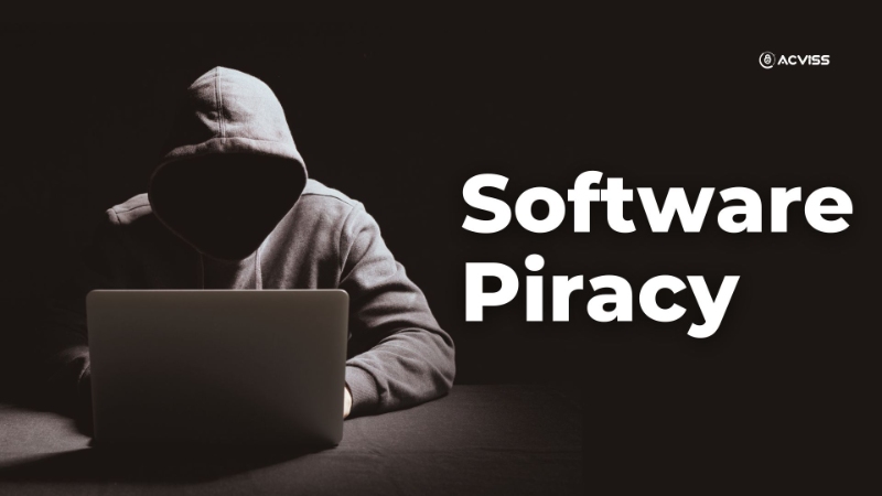 The Shadow World of Software Piracy: Costs and Consequences