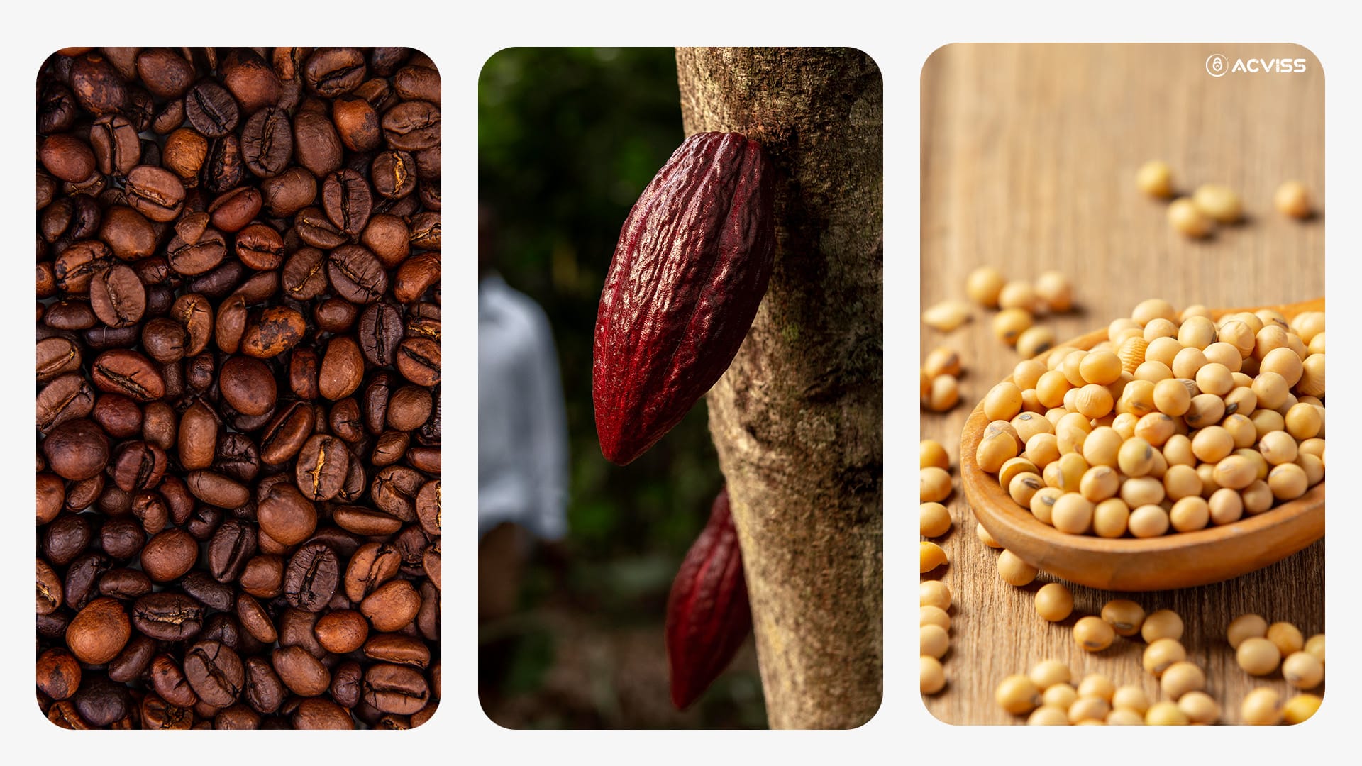 coffee, cocoa and soy products under EUDR