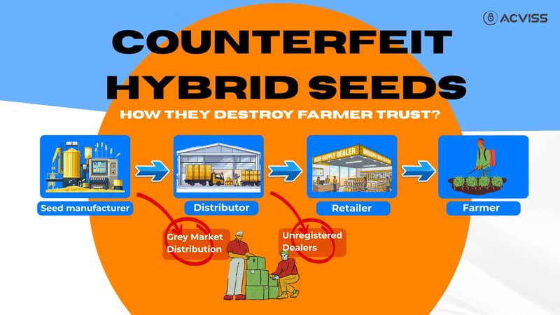 Counterfeit Hybrid Seeds: How They Destroy Farmer Trust, What Brands Can Do