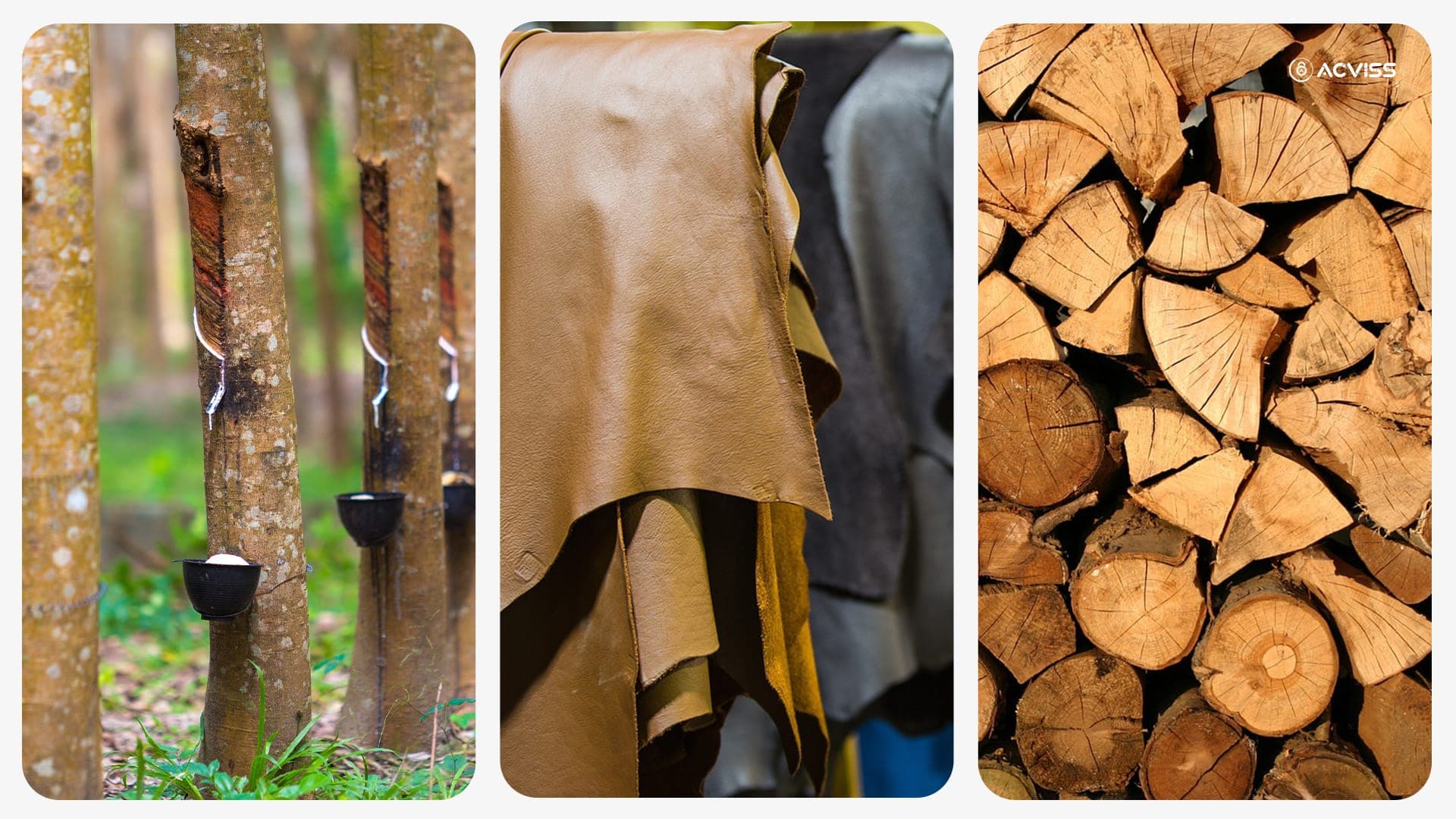 EUDR impact on automotive material sourcing