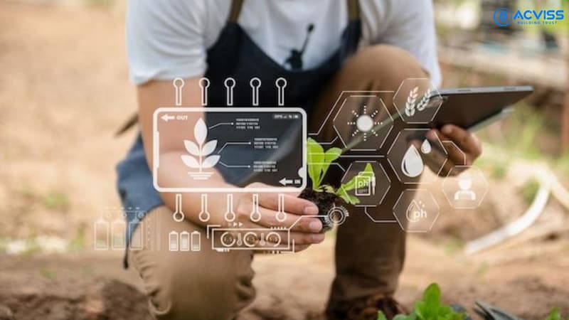 How Acviss Helps Seed Companies Build Farmer Stickiness