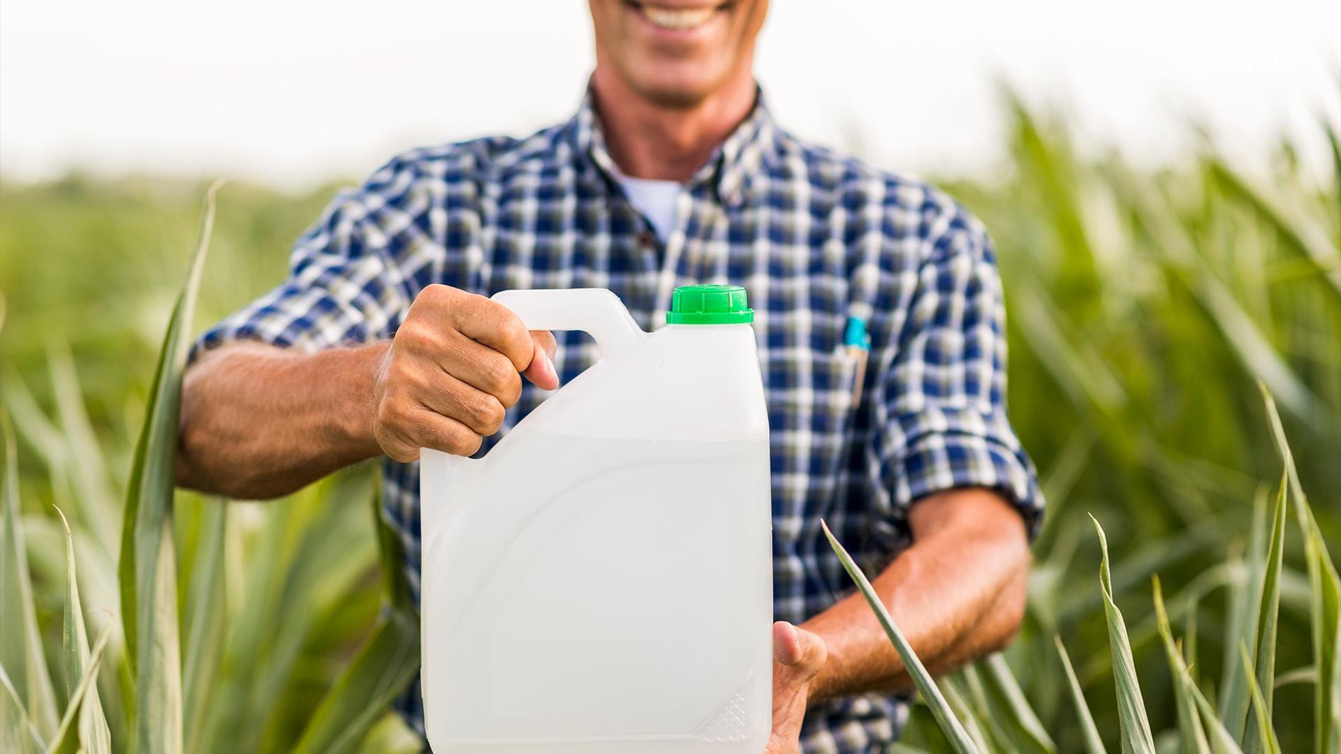 Looking Forward: The Standard of the Future