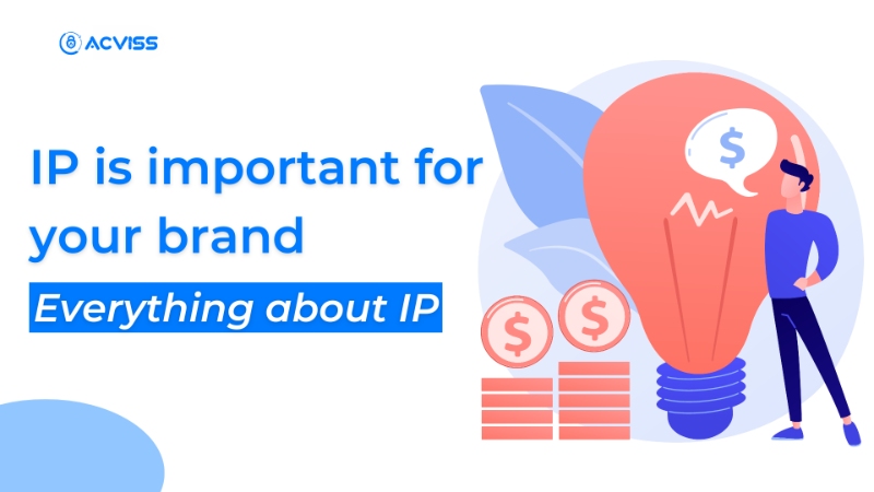 IP is Important For Your Brand. Everything About IP