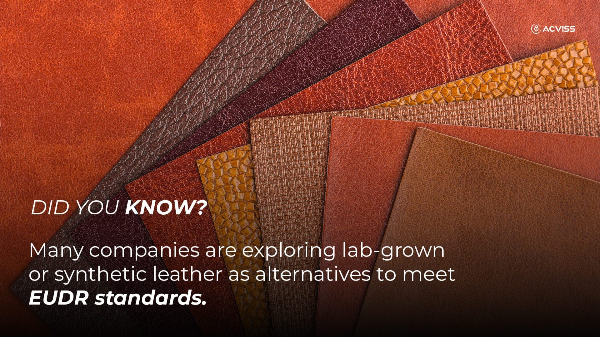 Lab grown leather to get EUDR compliant