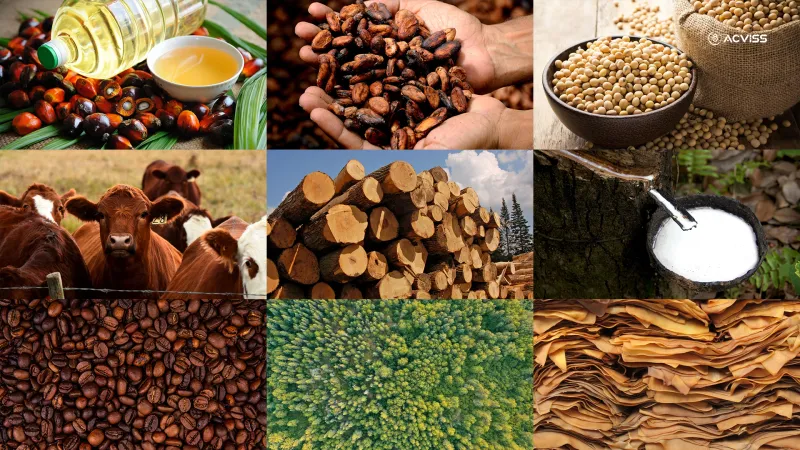 Products protected under EUDR