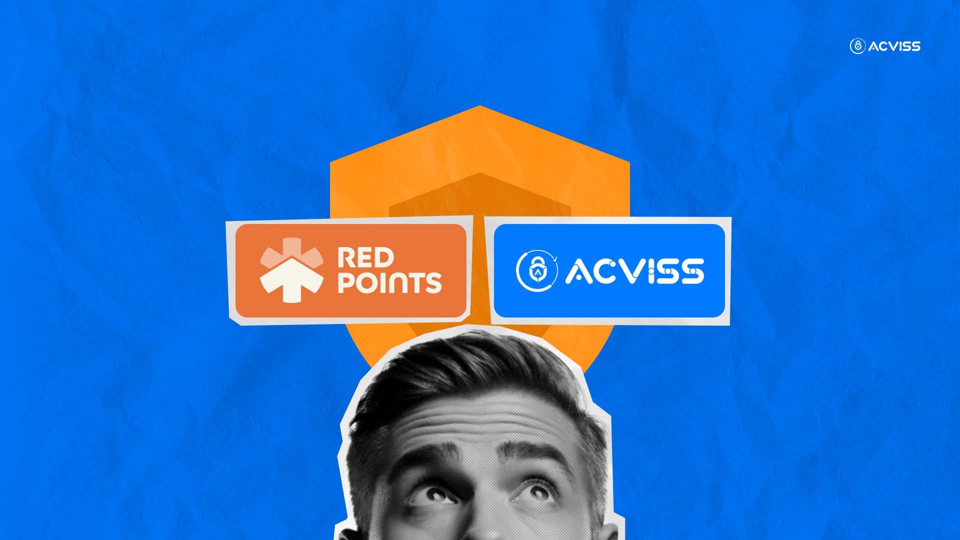 Truviss vs Red Points: Which Online Brand Protection Tool Should You Choose?