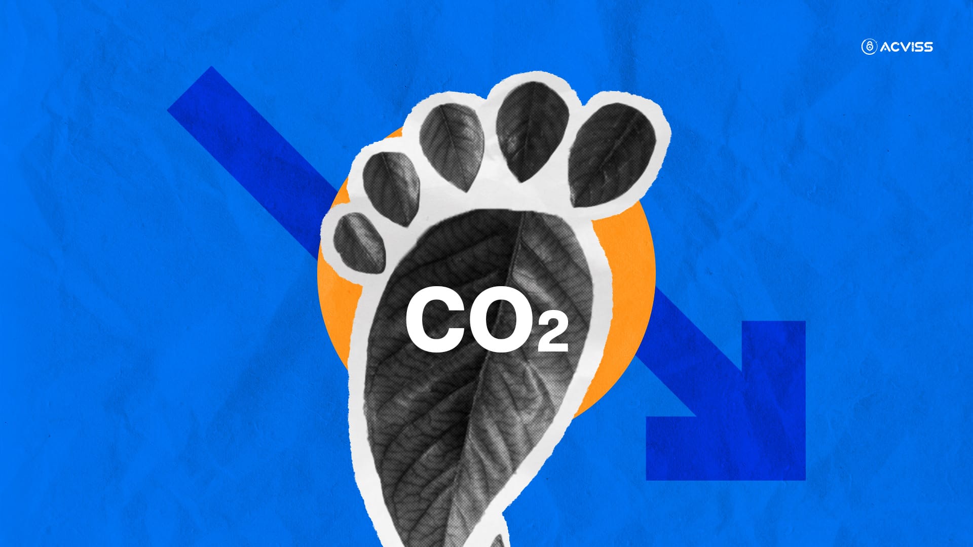 Sustainable Manufacturing: Reducing Carbon Footprint in Your Supply Chain