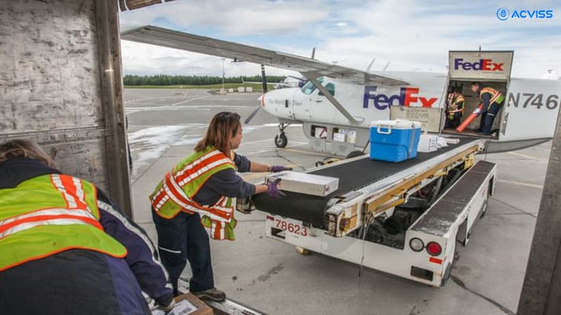 The Brand’s Role in Customs Enforcement