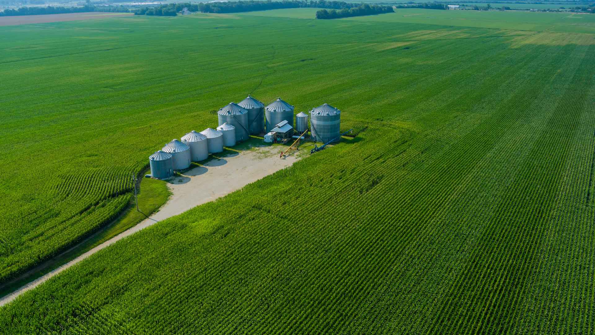 The Need for VDP in the Agro-Product Industry