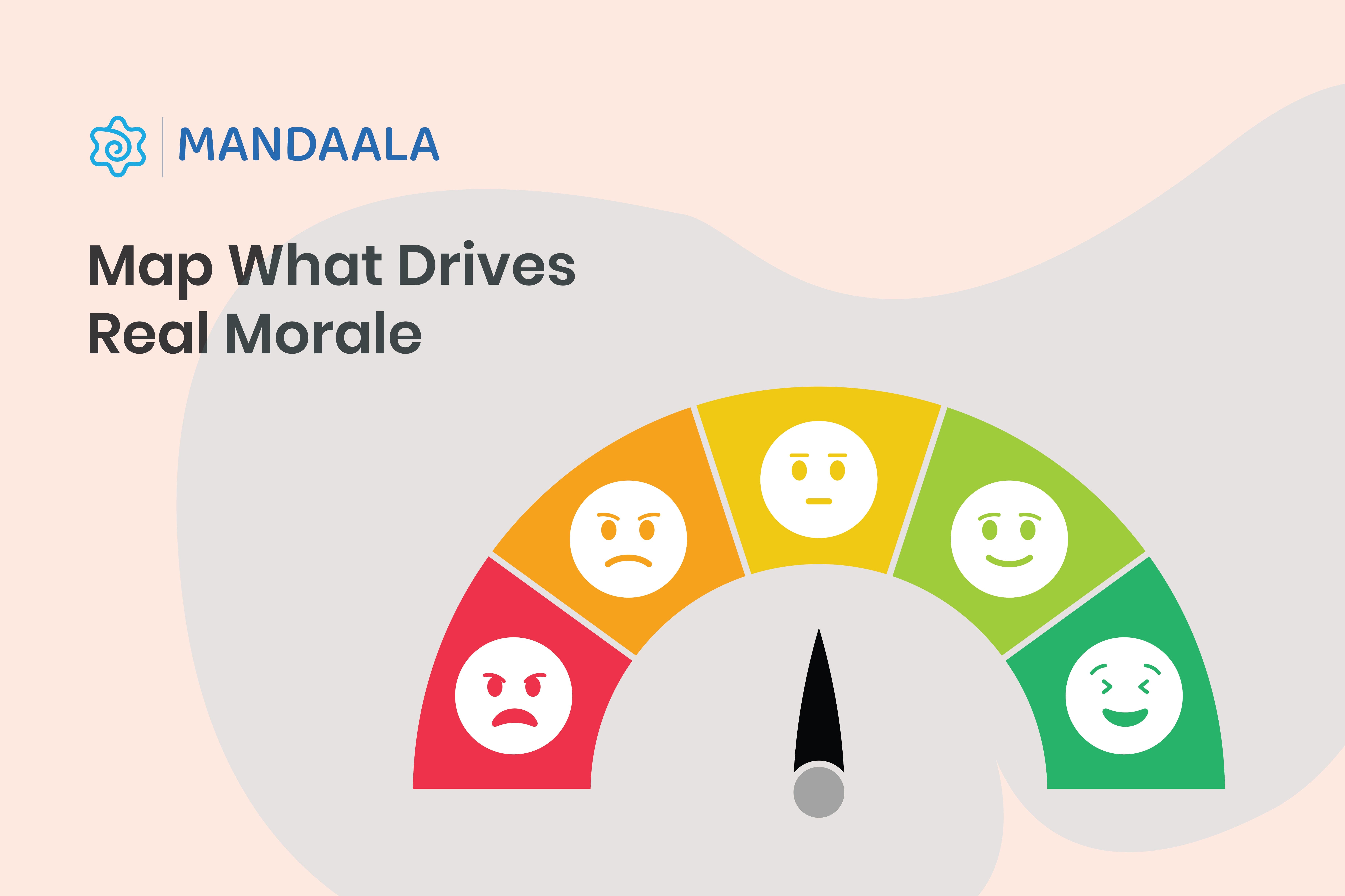 Map what drives real morale