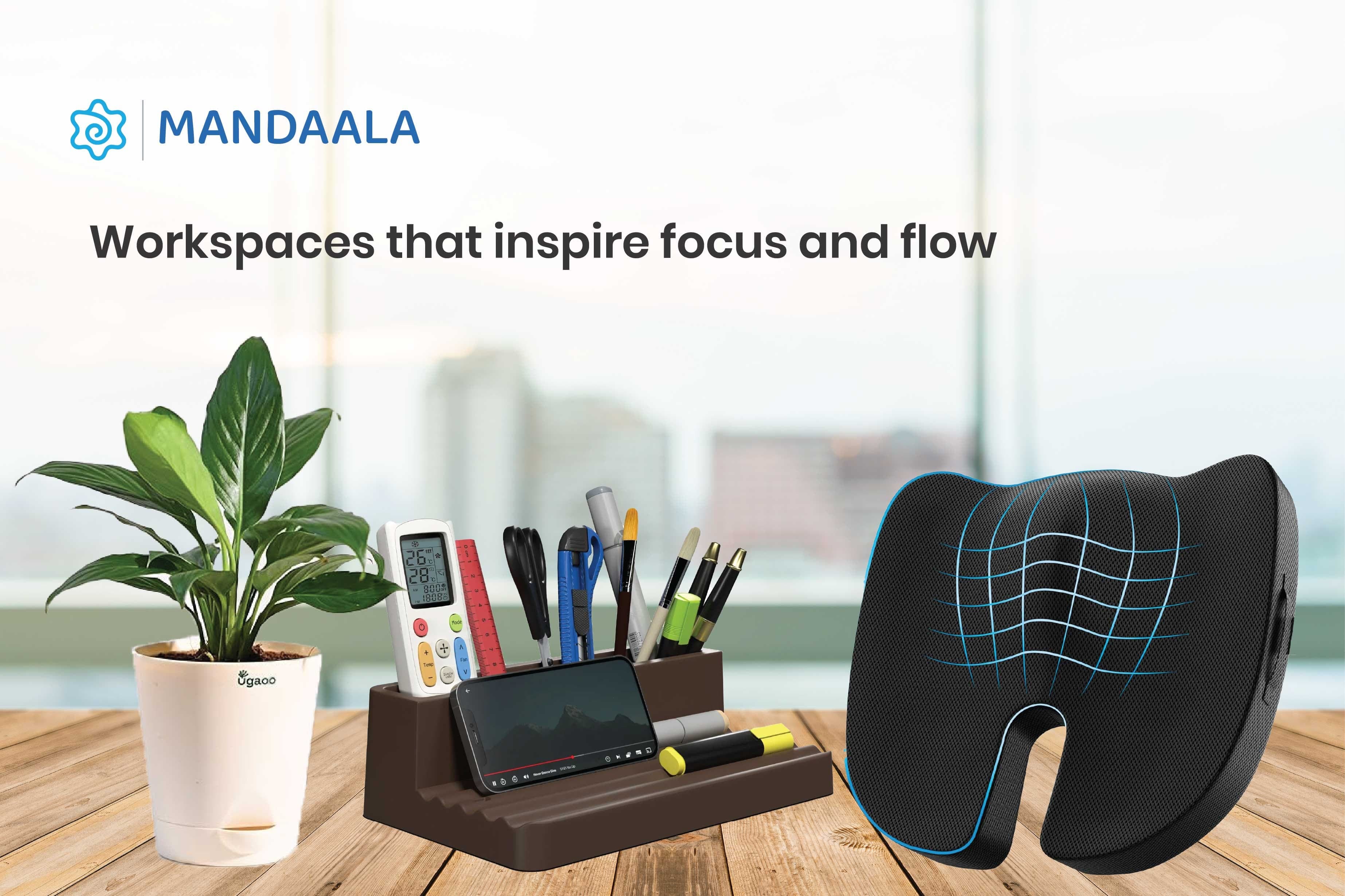 Office Décor & Productivity Booster