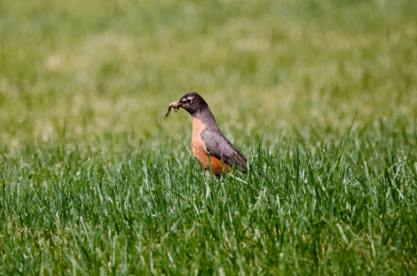 Inspirational Insights: Unveiling the Wisdom of English Proverbs