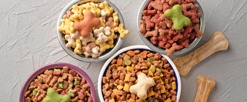 Understanding Wastewater Management Practices in Pet Food Processing