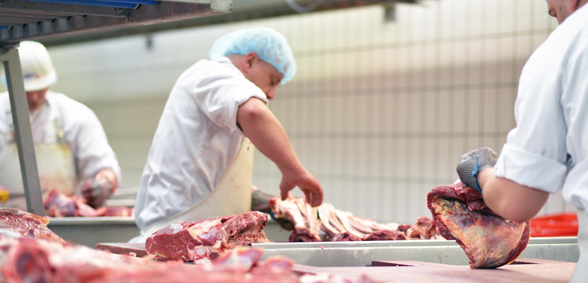 Effluent Management Strategies for Slaughterhouses: A Comprehensive Guide to Wastewater Treatment