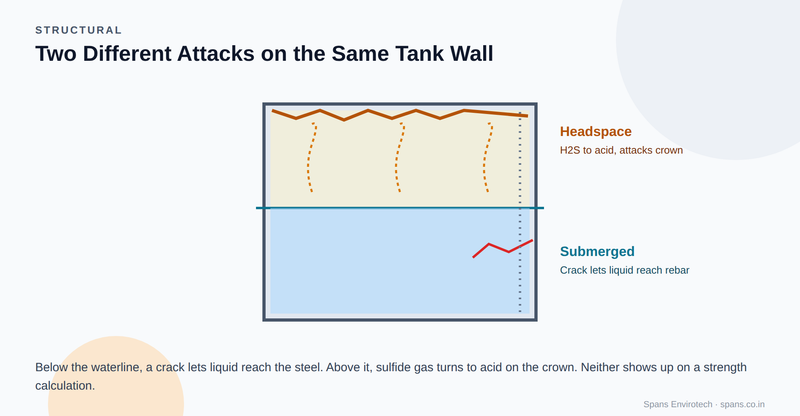 Cross-section of a tank wall split at the waterline: headspace above showing sulfide-to-acid attack on the crown, submerged zone below showing a crack reaching the reinforcement