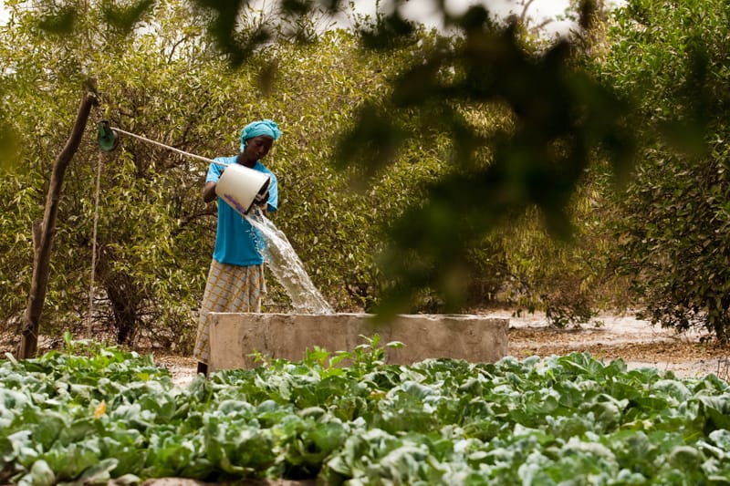 Embracing Treated Wastewater in Agriculture: A Sustainable Solution to Water Scarcity
