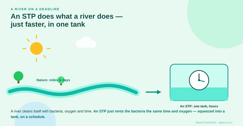 A sewage treatment plant does what a river does — cleans water with bacteria, oxygen and time, just faster in one tank