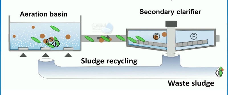 Waste Water Treatment Plant, 100-1000 m3/hour, Capacity: 50-100 Kld at Rs  450000/piece in Pune