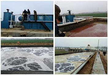 A Mutual Commitment to Treat Slaughterhouse Wastewater Sustainable