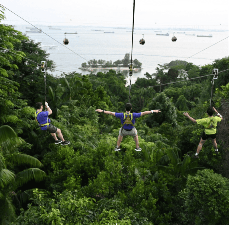 The Ultimate Guide to Mega Adventure Park: Thrills, Views, and Unforgettable Memories
