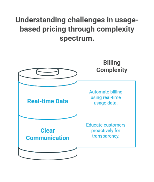 Infographic of 2 Key Challenges and How to Overcome Them in Usage-Based Pricing