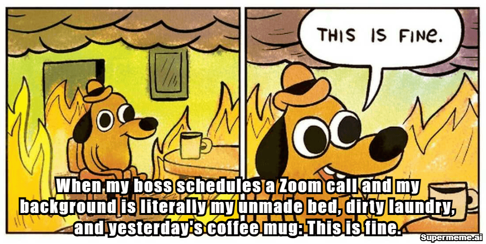 Funny Work From Home Memes 4