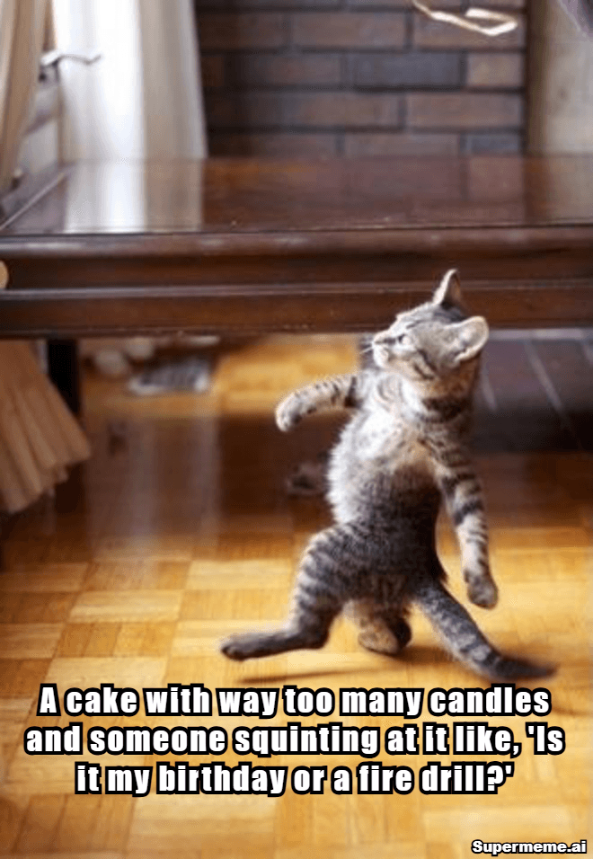 happy birthday memes 11