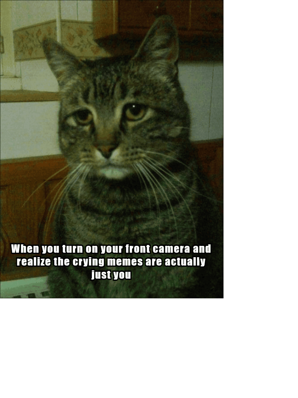 Funniest Crying Memes 13