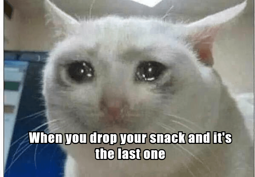 Funniest Crying Memes 5