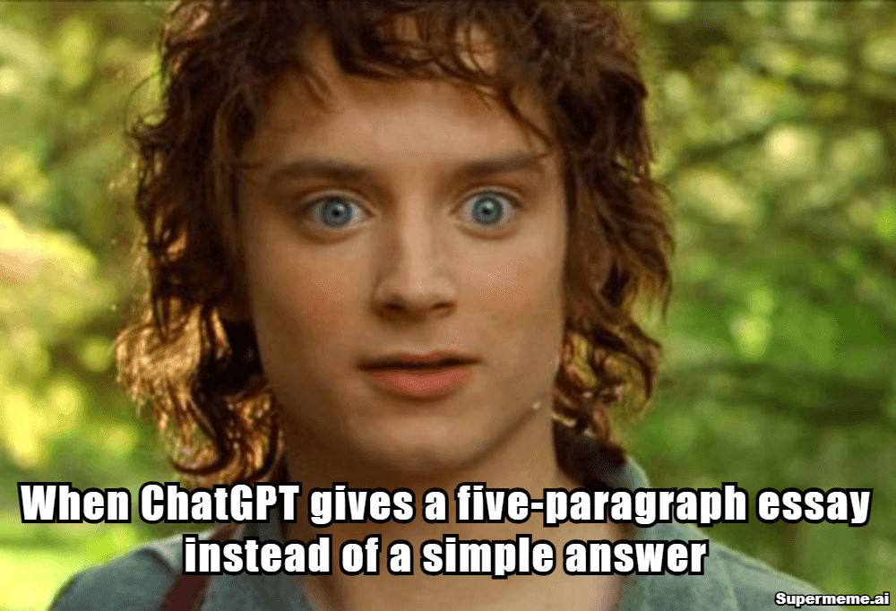 Funny Chatgpt Memes 6