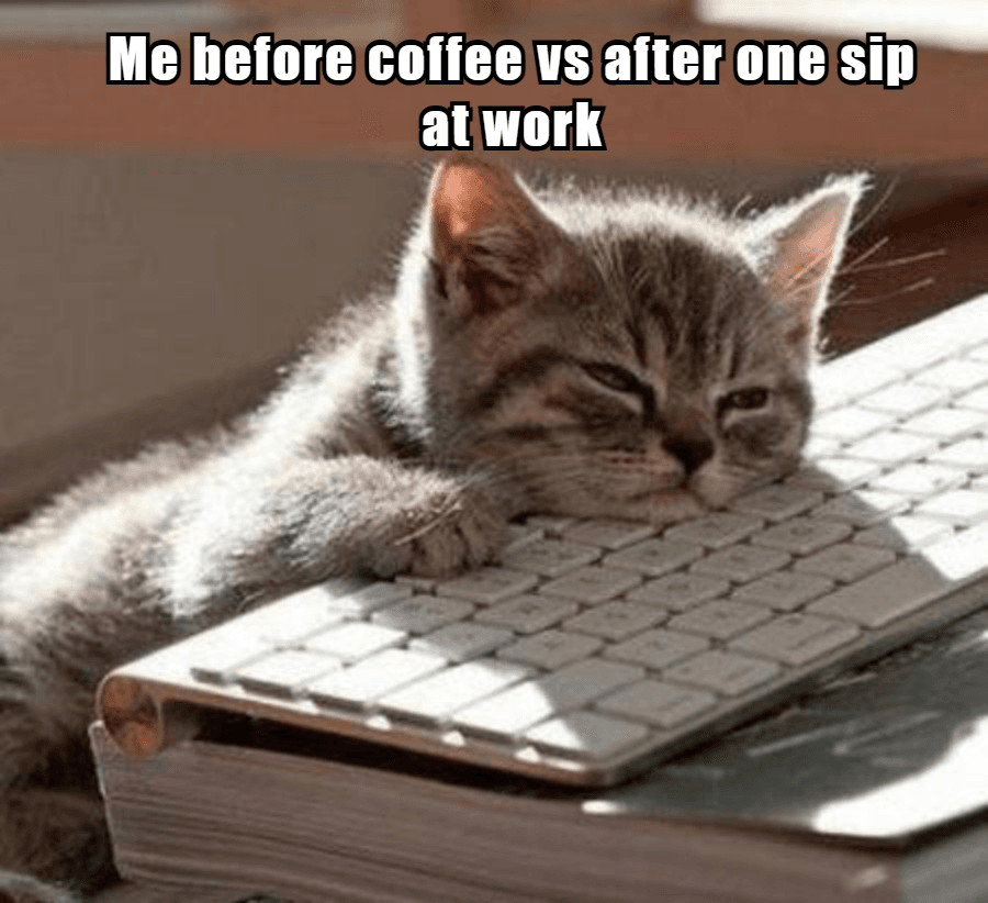 Funny Coffee Memes: 50+ Hilarious Images Every Coffee Lover Will Relate To