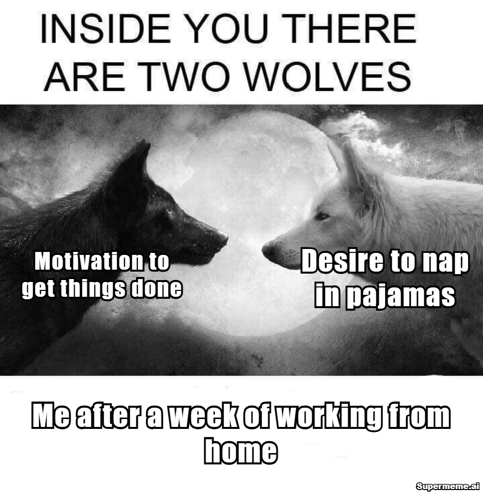 Funny Work From Home Memes 11