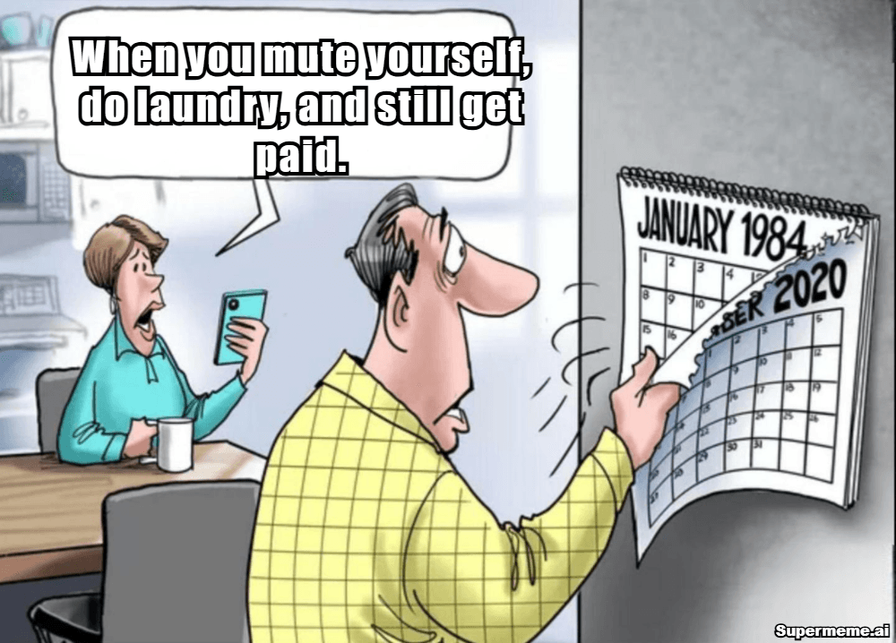 Funny Work From Home Memes 5