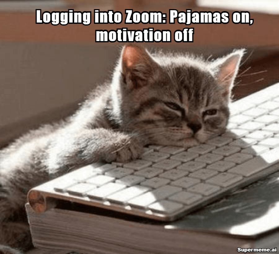 Funny Work From Home Memes 8