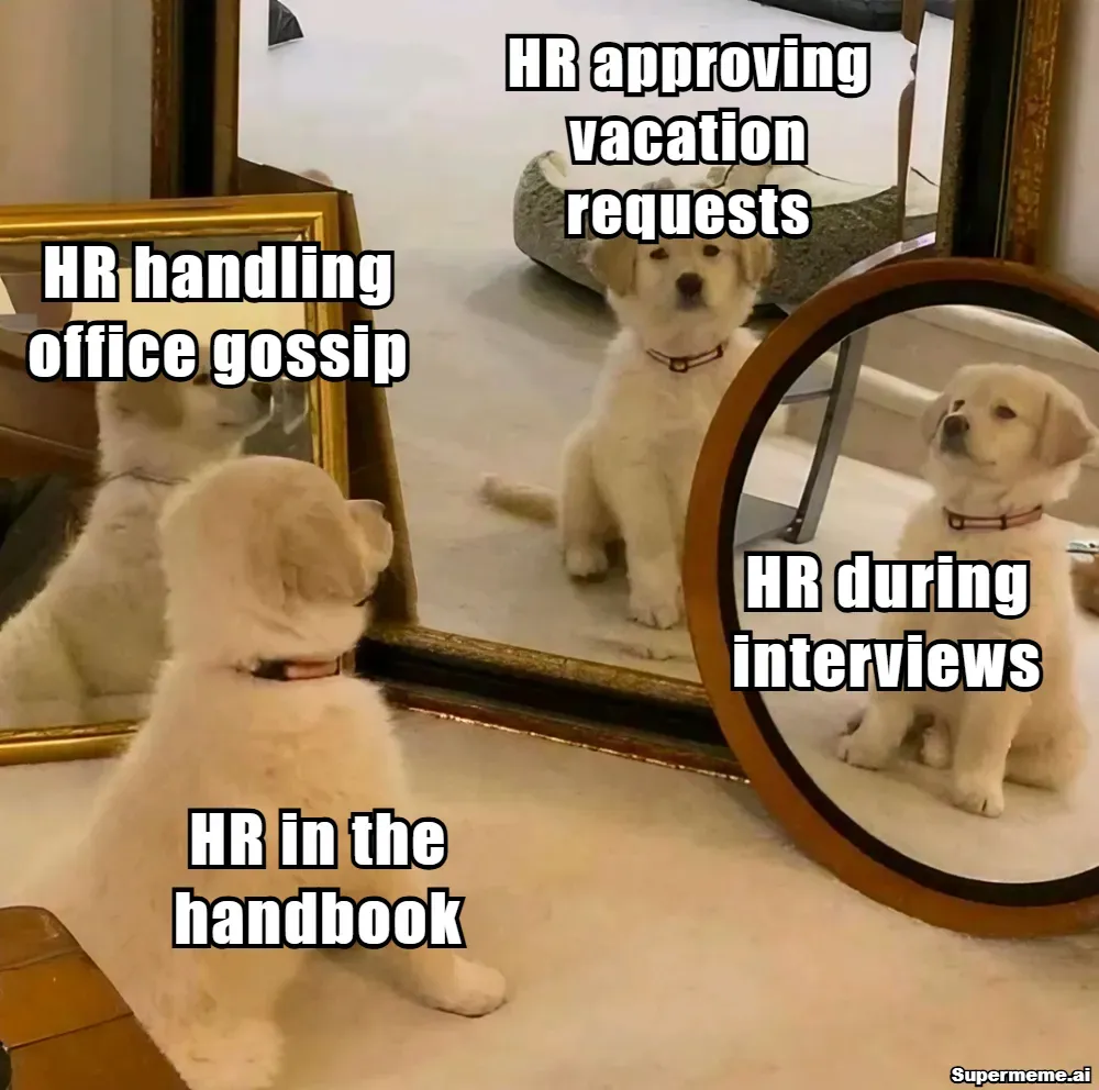 HR Memes 10