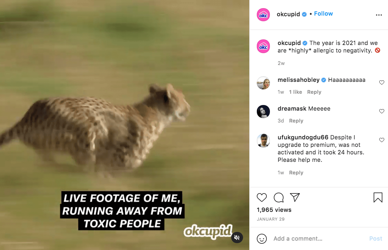 Okcupid Meme Marketing Example