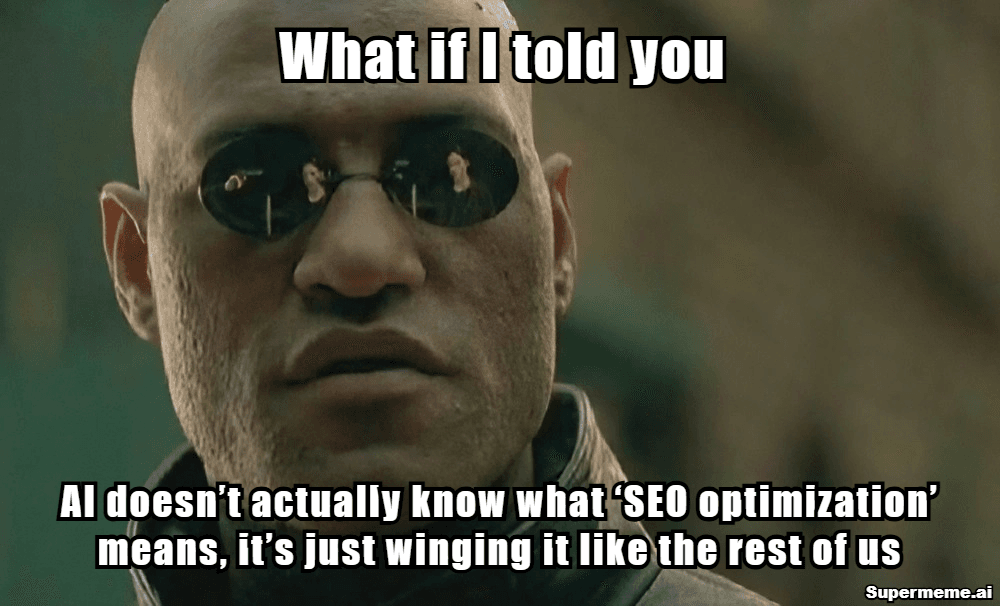 SEO Memes 23