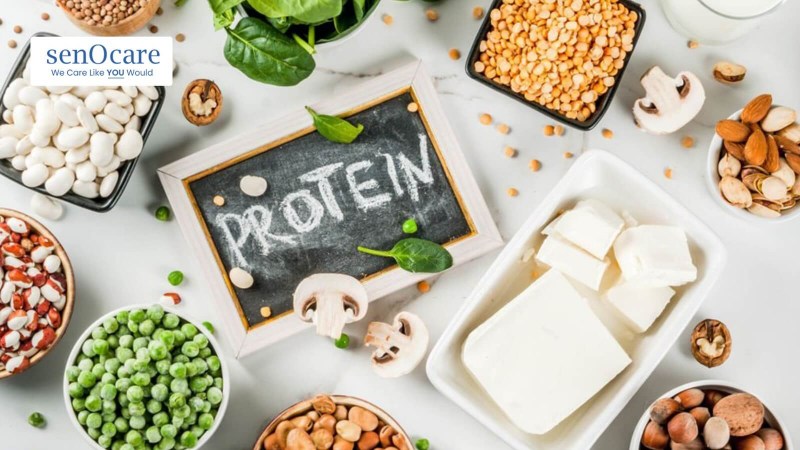 High Protein Foods for Elderly - Senocare 