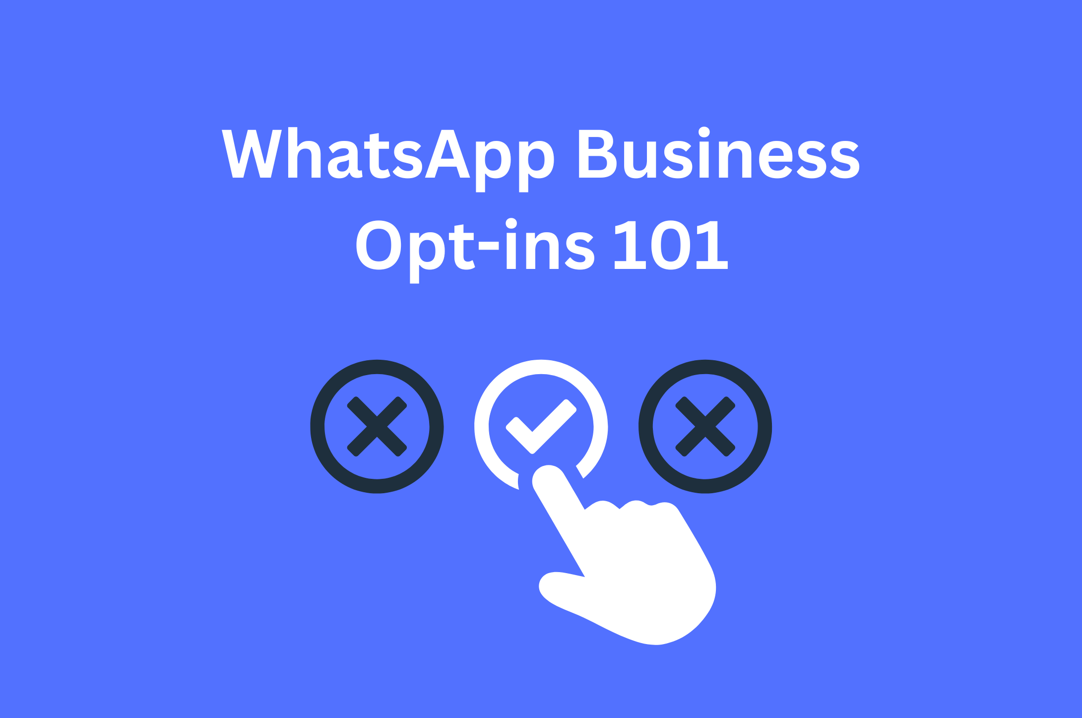 WhatsApp Business Opt-Ins