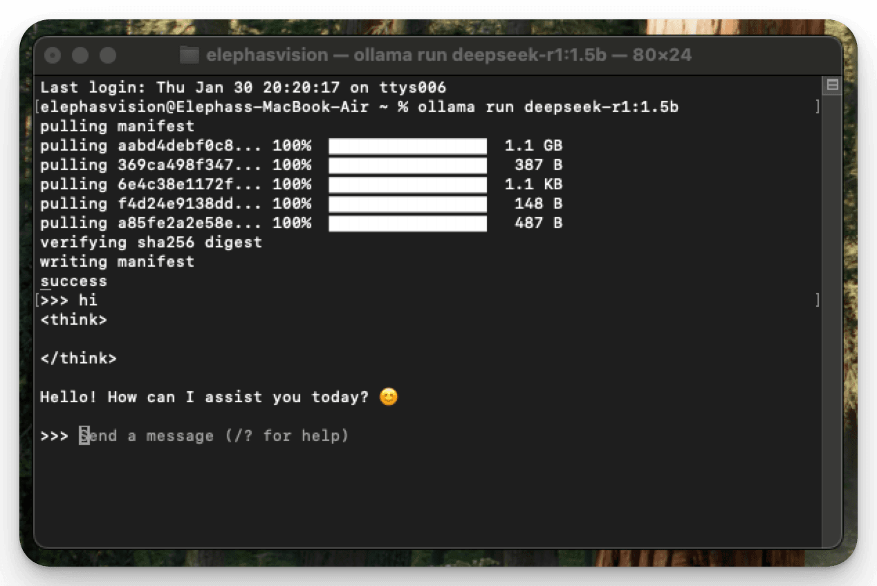 How to Install DeepSeek R1