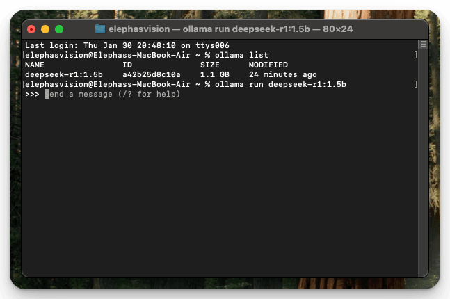 How to Install DeepSeek R1