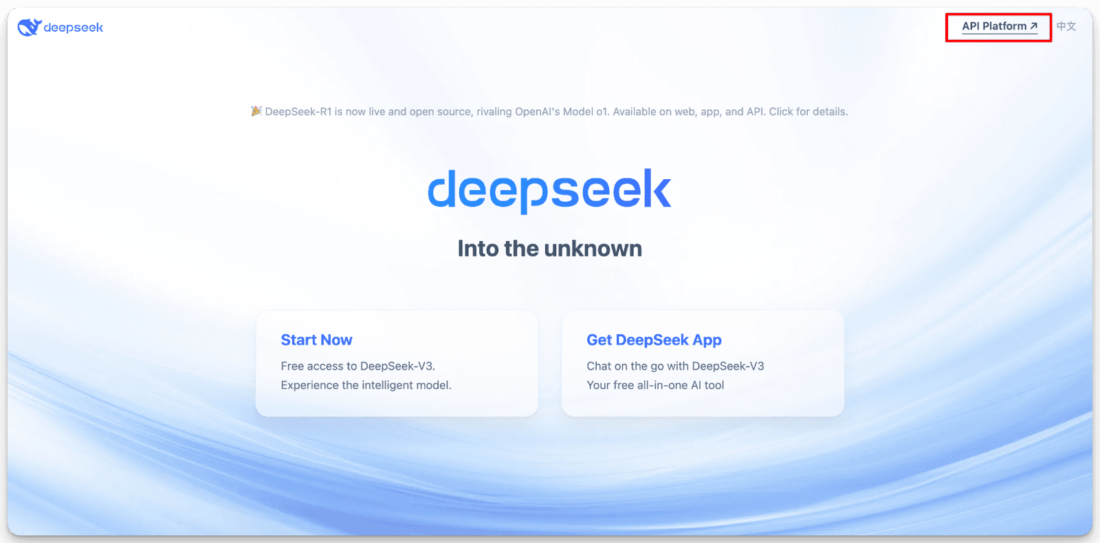 How to get DeepSeek API Key