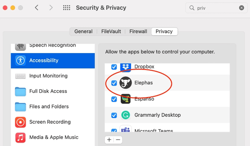 Elephas Accessibility Permission