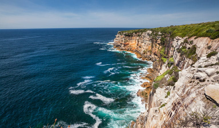 Escape the Ordinary: Unmissable Camping Retreats Just a Breath Away from Sydney