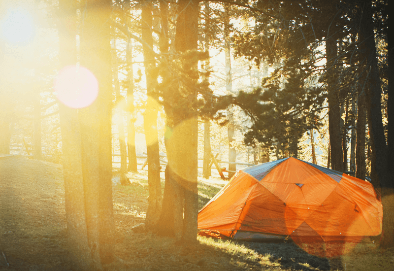 Escape the City: 13 Free Camping Spots Near Melbourne