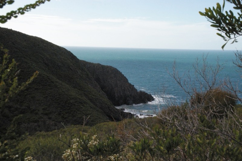 Top 5 Campsites Near Adelaide
you can explore with Drive mate! 