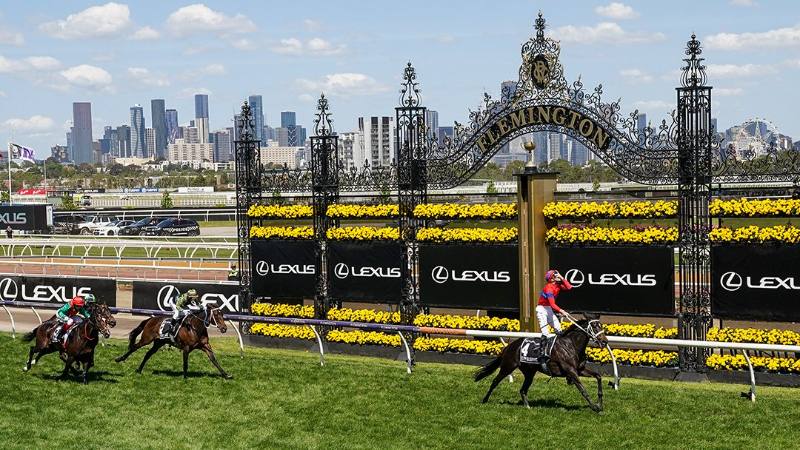 Melbourne Cup 2022: 
All You Need To Know & All You Can Explore